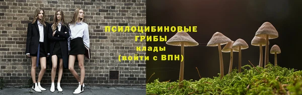 ALPHA PVP Алзамай