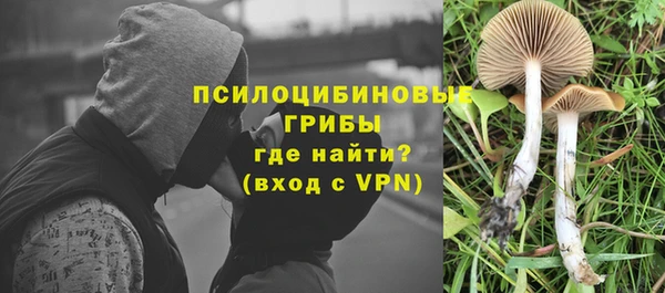 гидропоника Алексин