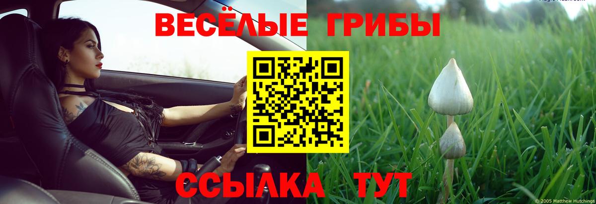 Псилоцибиновые грибы ЛСД  Галлюциногенные грибы мицелий  Вход с VPN  Арсеньев 
